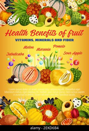 Vitamine, minerali e fibre di frutti esotici e frutti di bosco disegno vettoriale. Benefici per la salute di durian tropicale, pomelo e melone, kumquat, pandan e phy Illustrazione Vettoriale