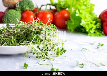 Piatto bianco con microgrede fresco è su un piatto bianco con verdure, peperoni rossi, ravanelli rossi, broccoli, insalata verde e pomodori. Foto Stock