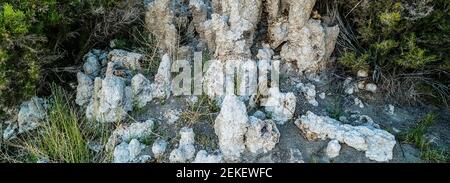 Strutture minerarie, lago Mono, Riserva Naturale di Stato, Contea di Mono, California, STATI UNITI Foto Stock