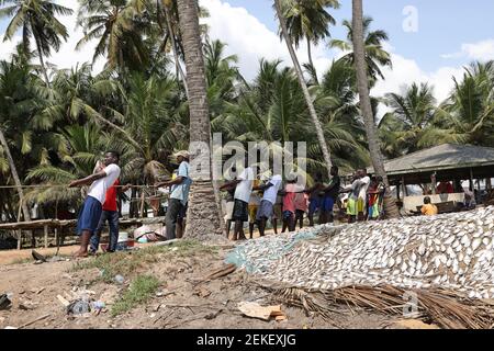 Gli abitanti del villaggio che condividono i pesci dalla rete di pesca della spiaggia Cape Coast Ghana. Vecchie reti da pesca fatte a mano tirate fuori di mare surf da gente del villaggio locale. Povertà. Foto Stock