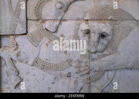 Rovine, statue e murales dell'antica città persiana di Persepoli in Iran. I resti più famosi dell'antico impero persiano. Foto Stock