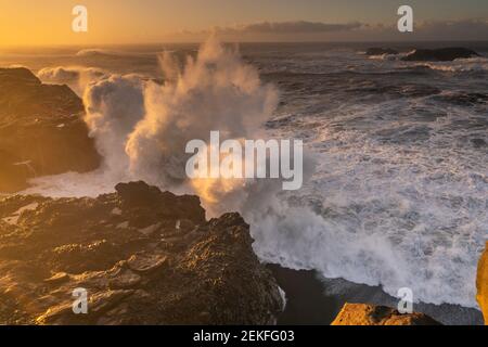 Vista dal capo Dyrholaey, Islanda. Stormy sunrise Foto Stock