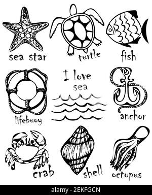 Disegni grafici di animali marini. Imitazione di disegni grafici in inchiostro. Disegno e creatività sul tema del mare. Illustrazioni vettoriali. Illustrazione Vettoriale