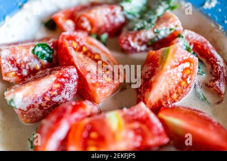 Closeup macro su piatto con pomodori freschi insalata di colore vivace in salsa di noci di seme condimento con verdure da giardino locale Foto Stock