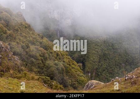 Mattinata di nebbia al Boa Vista Canyon, Rio Grande do sul, Brazi Foto Stock