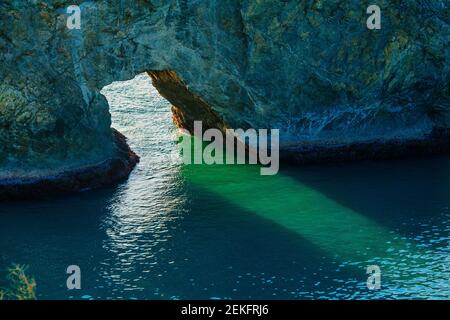 Formazione rocciosa dell'arco in mare, Samuel H. Boardman state Park, Brookings, Oregon, Stati Uniti Foto Stock