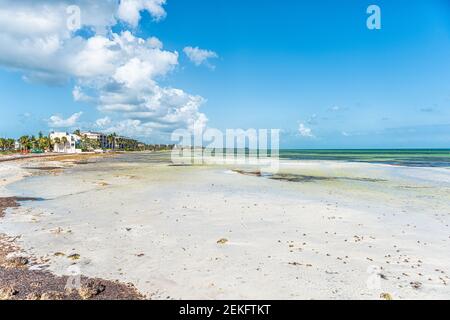 Key West, Stati Uniti Pier Park paesaggio in Florida a mare, mare vicino spiaggia con costa da bassa marea di acqua verde con le case Foto Stock