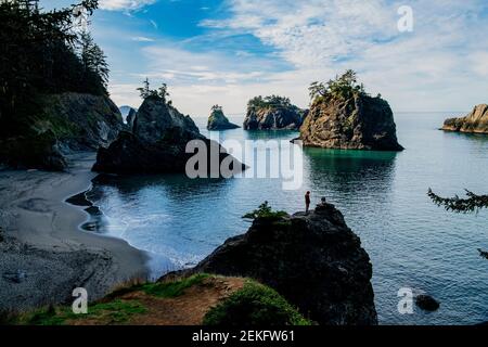 Formazioni rocciose lungo la costa del mare, Samuel H. Boardman state Park, Brookings, Oregon, USA Foto Stock