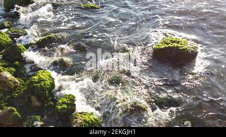 Piccole onde che colpiscono le rocce mussose della costa in un giorno. Foto Stock
