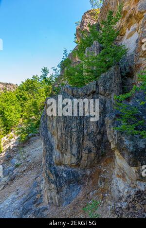 Foresta pietrificata sulle montagne di Rhodopes in Bulgaria Foto Stock