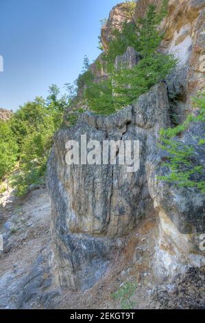 Foresta pietrificata sulle montagne di Rhodopes in Bulgaria Foto Stock