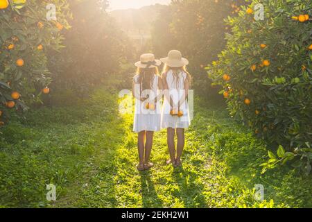 Vista posteriore di due ragazze che indossano vestiti bianchi e raccoglie arance nel giardino in Turchia di Antalya. Copia spazio. Foto Stock