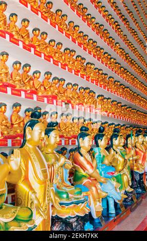 Hong Kong, Cina. Mostra di Buddha al monastero di diecimila Buddha a Pai Tau Tsuen, Sha Tin, nei nuovi territori. Foto Stock