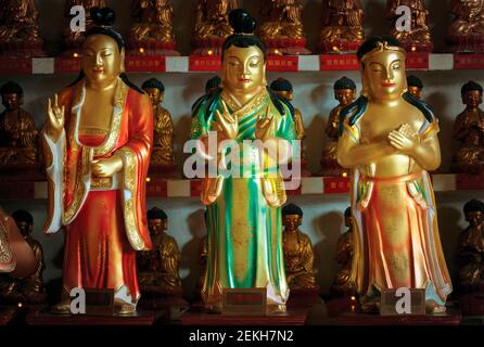 Hong Kong, Cina. Mostra di Buddha al monastero di diecimila Buddha a Pai Tau Tsuen, Sha Tin, nei nuovi territori. Foto Stock