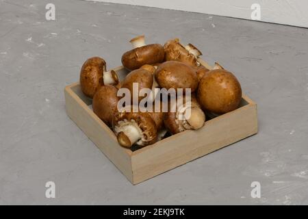 Camponcini bruni reali - Agaricus bisporus. Funghi freschi in scatola di legno su fondo grigio cemento. Foto Stock