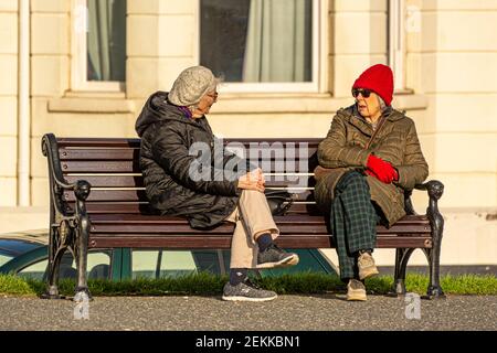 Donne anziane che tengono una discussione su un banco pubblico. Foto Stock