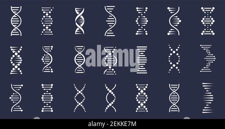 Icone DNA. Struttura della spirale genetica, elica del genoma. Concetto molecolare biotecnologico, elementi vettoriali cromosomici umani Illustrazione Vettoriale