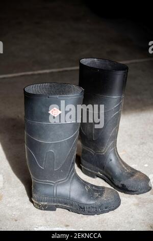 Sfera rossa stivali, un marchio di stivali di gomma non più disponibile negli Stati Uniti Tali stivali o Wellies sono circa 40 anni. Foto Stock