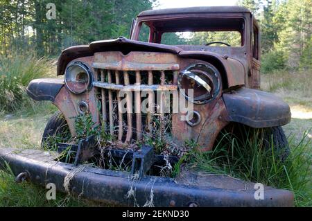 Griglia arrugginita e di fronte al vecchio pick-up, Wallace Island, Gulf Islands, British Columbia, Canada Foto Stock