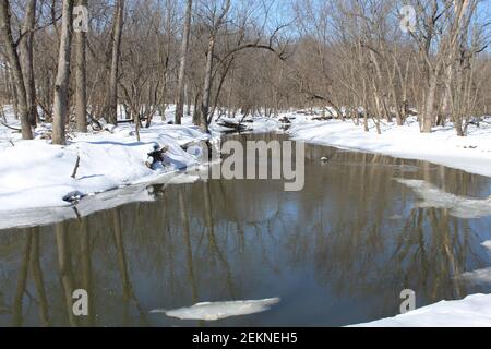 Ramo nord del fiume Chicago a Linne Woods a Morton Grove, Illinois in inverno con cielo blu Foto Stock