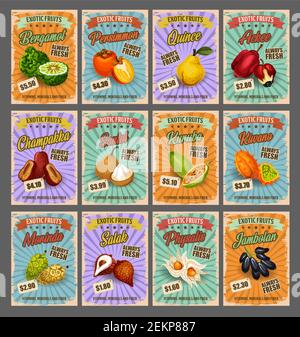 Carte esotiche di frutta tropicale retro, mercato agricolo. Vettore bergamotto e persimmon, mele cotogne e ackee, chambakka e santol, kuruba e kivano. Morin Illustrazione Vettoriale