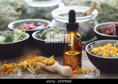 Flacone contagocce di infusione o olio, ciotole di erbe medicinali asciutte. Medicina alternativa. Foto Stock