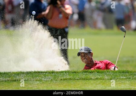 San Diego, California. 15 giugno 2008. Tiger Woods (USA) esce dal bunker di sabbia nella settima buca domenica durante l'ultimo round degli US Open al campo da golf Torrey Pines di la Jolla California. Louis Lopez/Cal Sport Media. Credit: csm/Alamy Live News Foto Stock