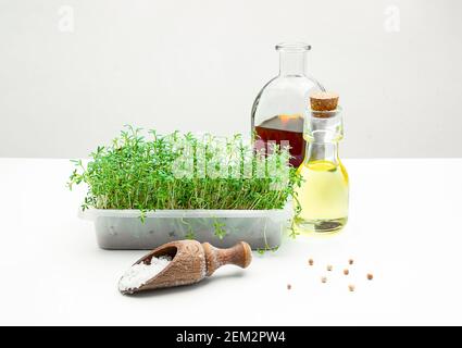 Una scatola con micro verde crescione germinata a casa, oli vegetali, sale e pepe sul tavolo da cucina, cibo sano e concetto di supercibo Foto Stock