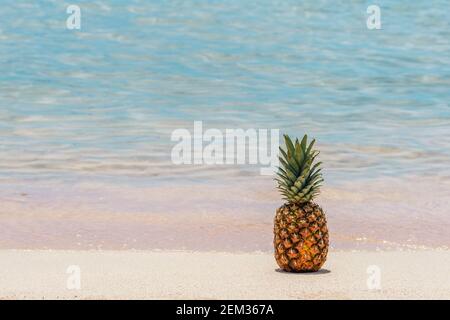 Sfondo estivo con ananas su una spiaggia tropicale. Concetto di vacanza e viaggio. Foto Stock