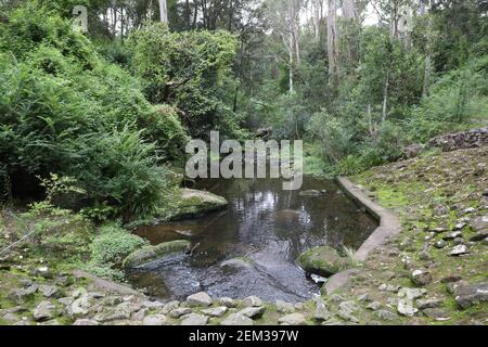 Il Waterhole di Browns nel Parco Nazionale di Lane Cove, North Epping, Sydney, NSW, Australia. Foto Stock