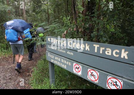 Bushwalkers all'inizio del TerryS Creek Track vicino al Browns Waterhole nel Lane Cove National Park, Sydney, NSW, Australia. Foto Stock