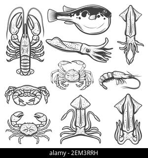 Frutti di mare e schizzi di pesce di aragosta, granchi e gamberetti, calamari, seppie, fugu e gamberi. Vettore molluschi, animali marini e crostacei icona oceano Illustrazione Vettoriale