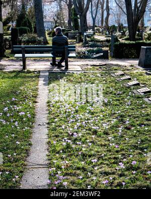 Friedhof Sophien ll cimitero a Mitte, Berlino, Germania. Tomba cortile in primavera, Crocus fiori tra le tombe Foto Stock