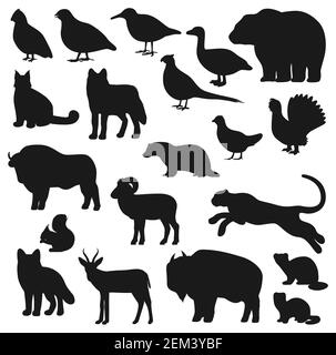 Silhouette nere di animali e uccelli del design sportivo di caccia. Orso vettore, lupo e anatra, bufalo africano, volpe e fagiano, bisonte, panther o leopard, g Illustrazione Vettoriale