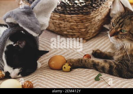 Carino due gatti che giocano con moderne uova di pasqua pastello su accogliente coperta gialla a casa. Animali domestici che tengono uova tinte naturali con zampa. Buona Pasqua! Pasqua hun Foto Stock