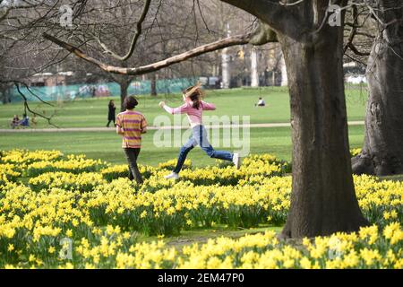 Una coppia tra le narcisi del St James's Park, Londra, con previsioni che prevedono 'i primi segni della primavera' si sentiranno in gran parte del Regno Unito nei prossimi giorni. Data immagine: Mercoledì 24 febbraio 2021. Foto Stock