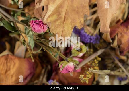 Fiori di rose essiccati con foglie essiccate Foto Stock