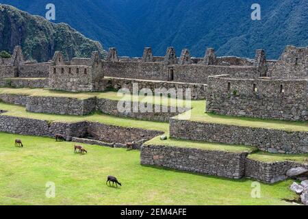 La città Inca di Machu Picchu in Perù. Anche se conosciuto localmente, non era conosciuto agli spagnoli durante il periodo coloniale ed era sconosciuto agli outsi Foto Stock