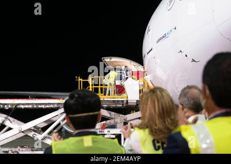 (210224) -- SANTO DOMINGO, 24 febbraio 2021 (Xinhua) -- i membri dello staff scaricano una partita dei vaccini cinesi Sinovac COVID-19 dall'aereo dell'aeroporto internazionale di Santo Domingo, Repubblica Dominicana, 23 febbraio 2021. La Repubblica Dominicana ha ricevuto una spedizione di vaccini sviluppati dalla società farmaceutica cinese Sinovac martedì sera, le autorità hanno detto. (Vicepresidenza della Repubblica Dominicana/Handout via Xinhua) Foto Stock