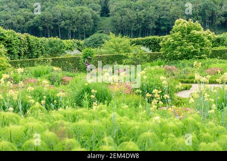 Francia, Indre et Loire, Valle della Loira dichiarata Patrimonio Mondiale dall'UNESCO, il castello e i giardini di Villandry, il Jardin du Soleil, letti di perenn Foto Stock