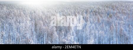 Bianco inverno neve coperta foresta mista vista panoramica aerea. Ampio e ampio panorama aereo, immagine chiave alta Foto Stock