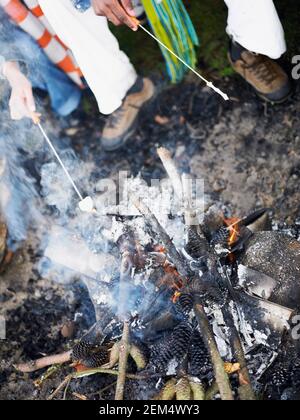 Vista in sezione bassa di un uomo e di una donna seduti vicino ad un falò e ad una tostatura delle marshmallows Foto Stock
