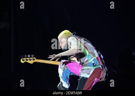 Flea (vero nome Michael Peter Balzary) del Red Hot Chili Peppers che ha il titolo la notte di sabato al Reading Festival 2016. Data immagine: Venerdì A. Foto Stock