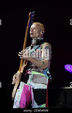 Flea (vero nome Michael Peter Balzary) del Red Hot Chili Peppers che ha il titolo la notte di sabato al Reading Festival 2016. Data immagine: Venerdì A. Foto Stock