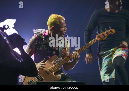 Flea (vero nome Michael Peter Balzary) del Red Hot Chili Peppers che ha il titolo la notte di sabato al Reading Festival 2016. Data immagine: Venerdì A. Foto Stock