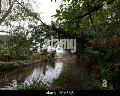 Il fiume è alimentato dal fiume Colne ad un weir a nord di Denham Lock. Corre parallelamente al Colne per circa 6 miglia prima di ricongiungerlo a sud di West Drayton. Nel 1641 il fiume Frays ha alimentato almeno cinque mulini. John Fray era Barone Lord Cancelliere dello scacchiere nel 1400. Aveva molta esperienza di fiumi e mulini intorno a Londra e aveva un interesse finanziario in Cowley Hall - una proprietà che confina con il fiume Frays. Ci è una varietà enorme di vita degli uccelli Swans, Ducks, Moorhens e varie altre specie di uccelli vivono dalle rive del fiume fianco a fianco con là vicini umani .... Foto Stock