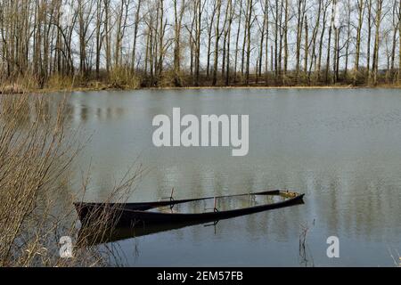 Una barca solitaria affondata in un lago olandese circondato da alberi Foto Stock