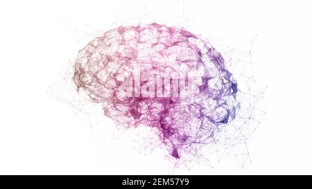 Dati digitali e connessione di rete di cervello umano multicolore isolato su sfondo bianco. Immagine concettuale dell'intelligenza artificiale Foto Stock