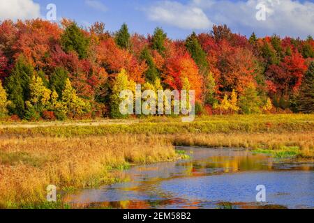 L'Upper Klondike Pond, sulle Pocono Mountains della Pennsylvania, era un ex lago d'impatto creato per l'uso di raccolti commerciali di ghiaccio. La diga ha ora b Foto Stock