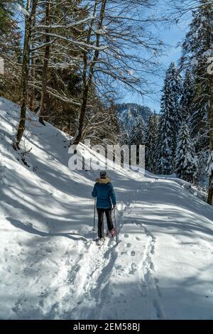 Escursioni con racchette da neve nella foresta di Bregenz, Schneeschuhwandern von Sibratsgfäll - Schönebach. Ingeborg Kuhn im Winterwald, paese delle meraviglie innevate, Vorarlberg Foto Stock